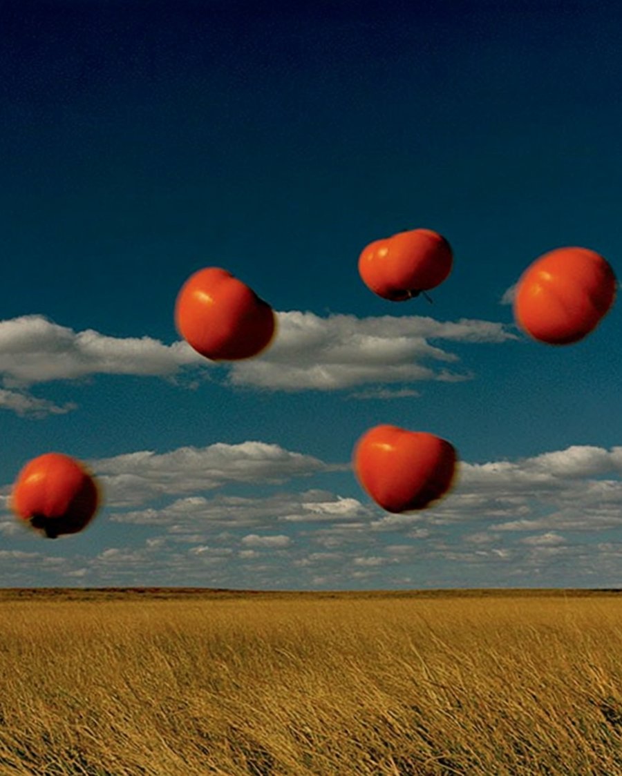 Flying Tomatoes